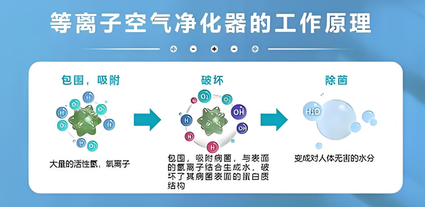 微信图片_2026-05-25_102116_882.png